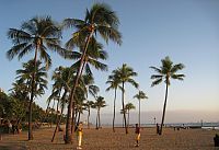 Waikiki Beach Honolulu Hawaii USA