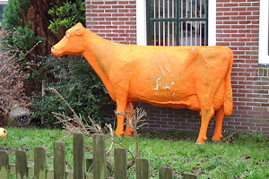 Kuh im Vorgarten, Stavoren, Holland