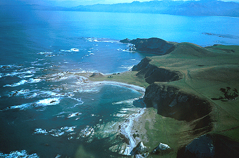 Kaikoura Peninsula